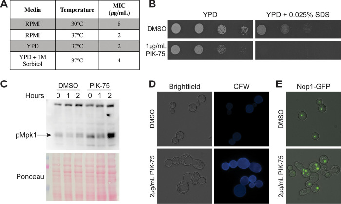 FIG 6