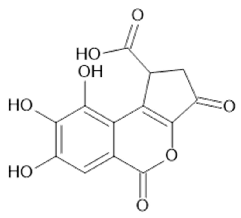 Figure 14