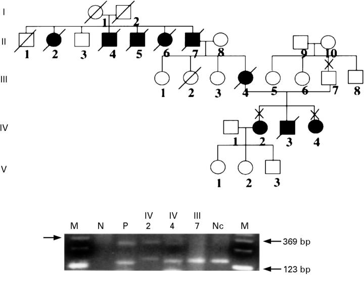 Figure 1  