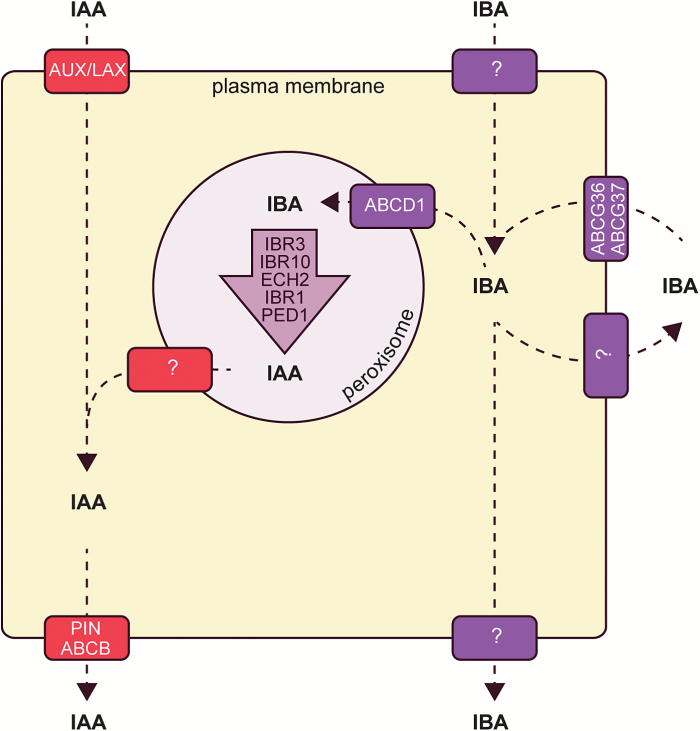 Fig. 2.