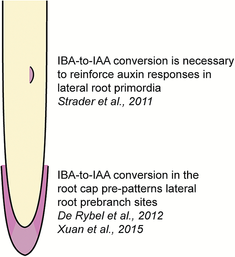 Fig. 3.