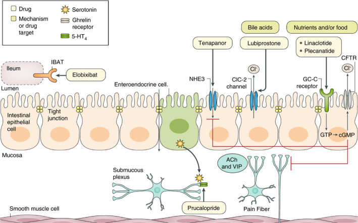 FIGURE 3
