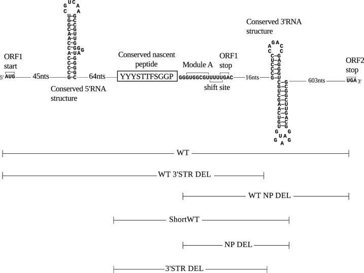 FIGURE 3.