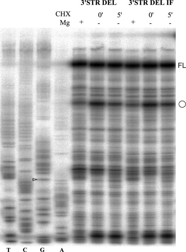 FIGURE 10.