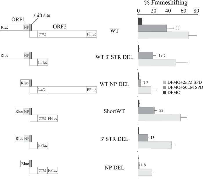 FIGURE 4.