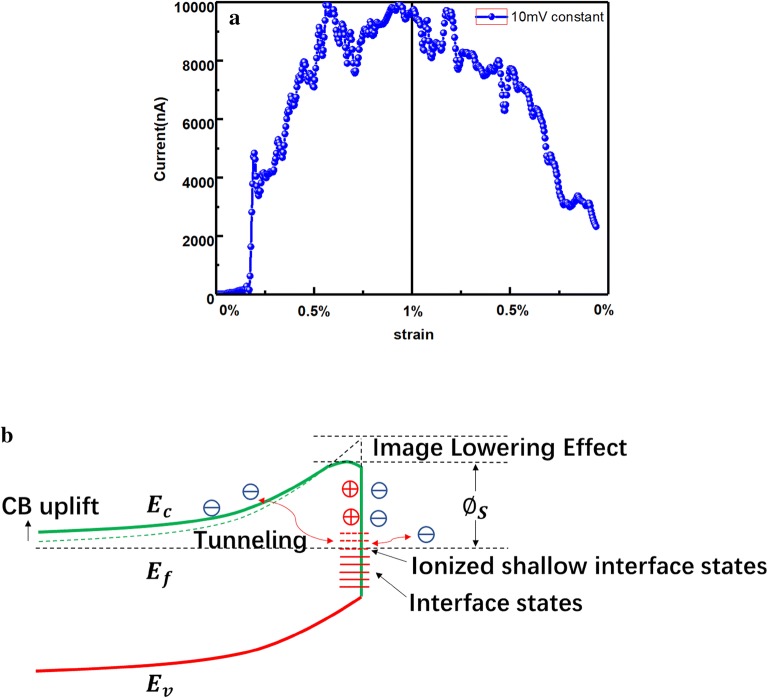 Fig. 6