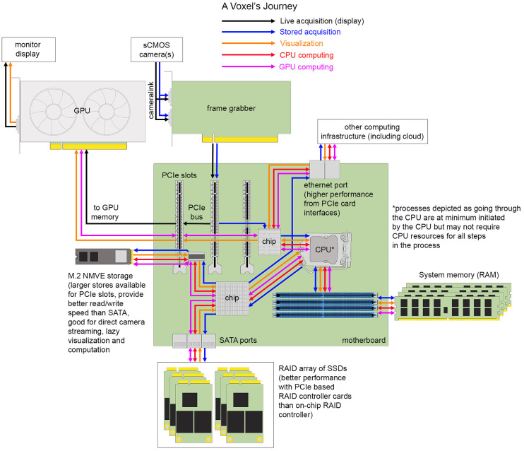 FIGURE 4