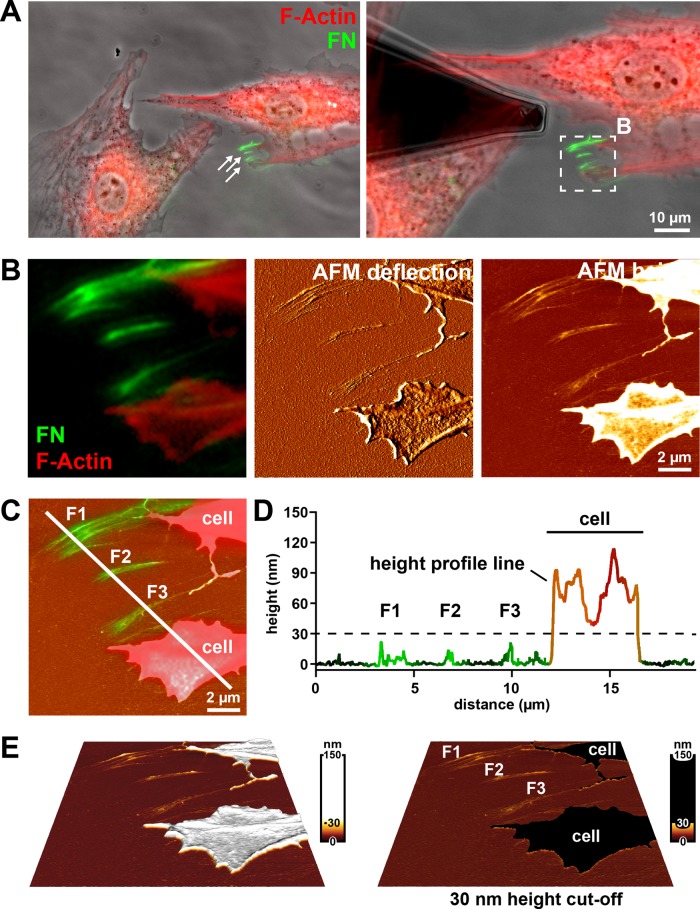 FIGURE 2: