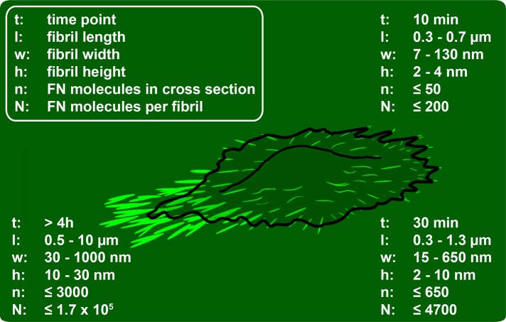 FIGURE 8: