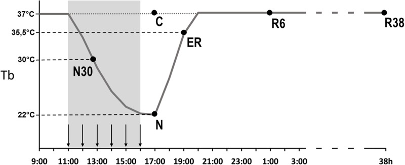 FIGURE 1