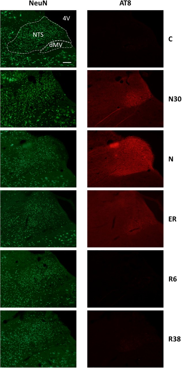 FIGURE 3