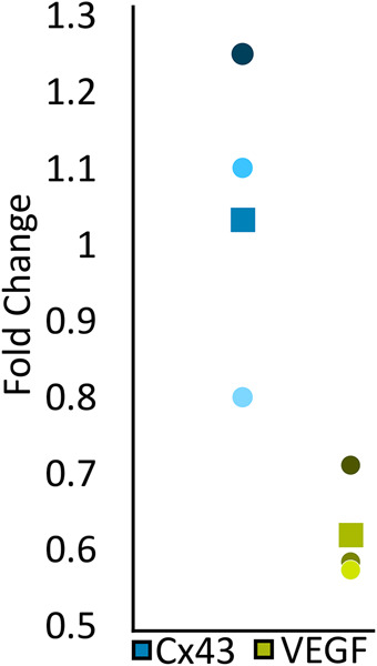 FIGURE 8: