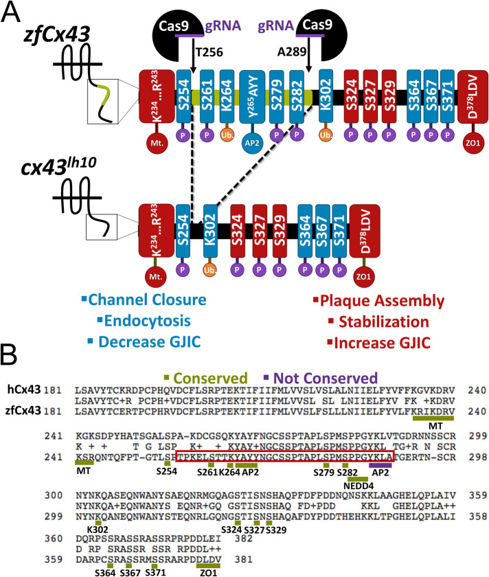 FIGURE 1: