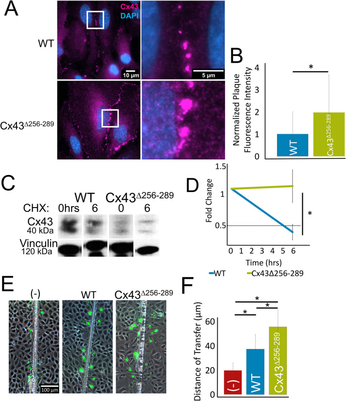 FIGURE 3: