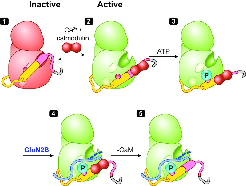 Figure 13.