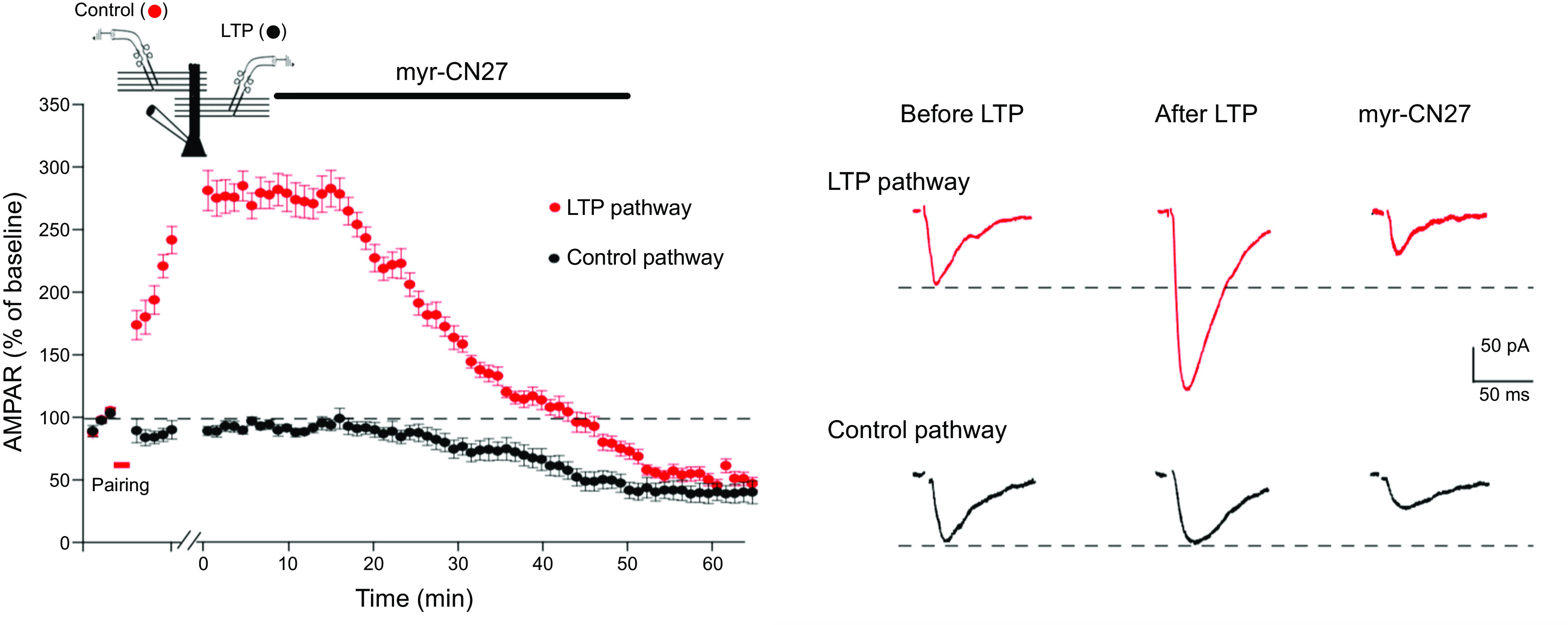 Figure 10.