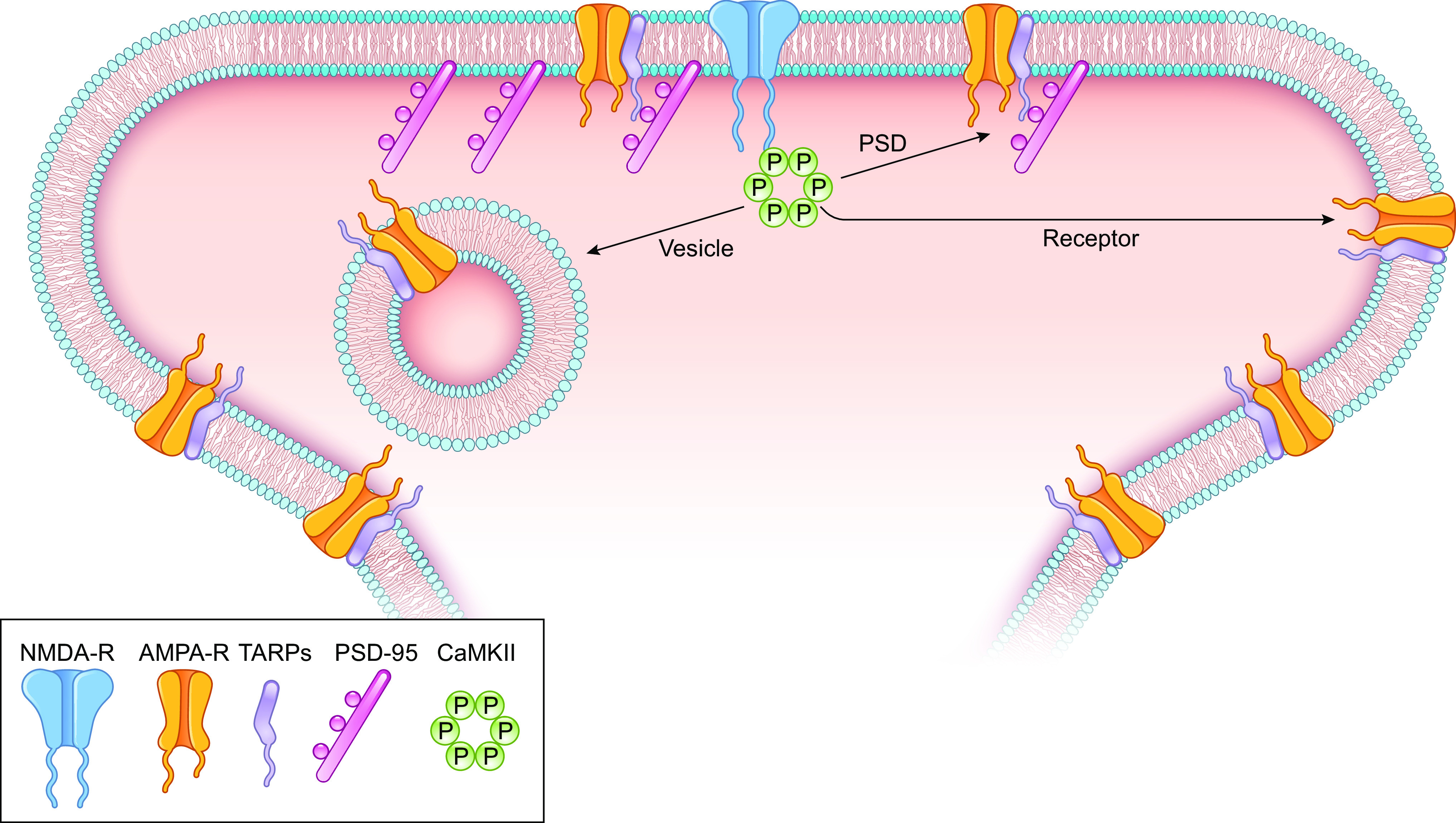 Figure 7.