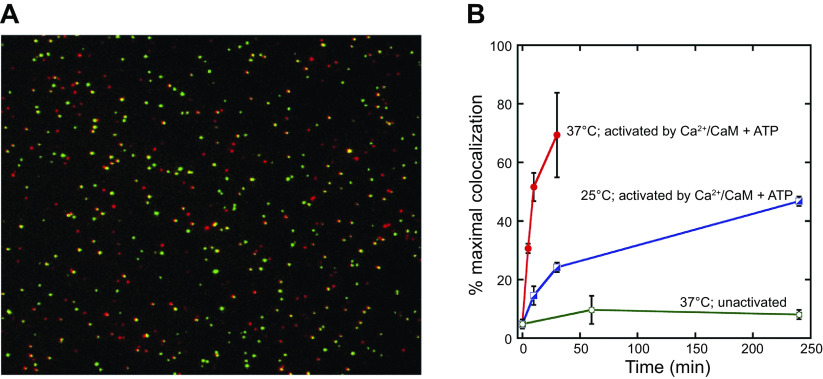 Figure 11.