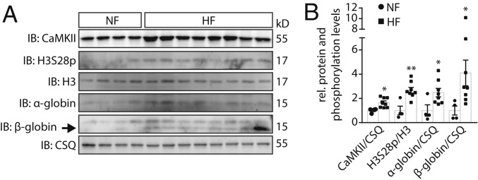 Fig. 5.