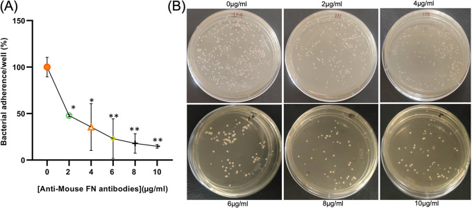 FIG 2