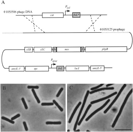 FIG. 1