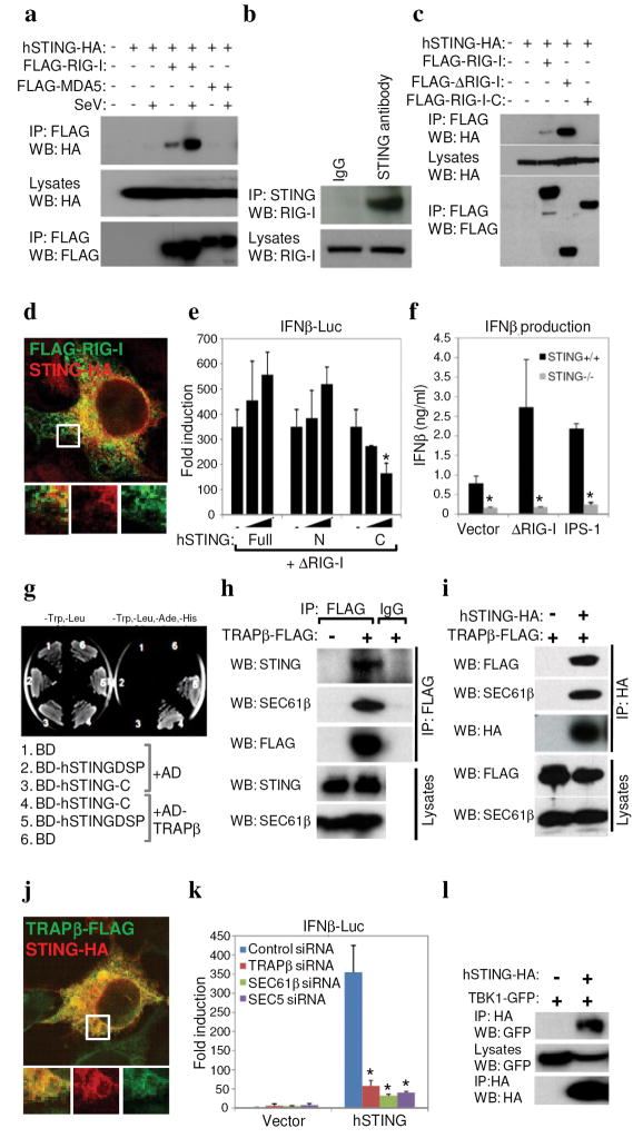 Fig 4