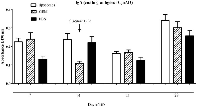 FIGURE 3