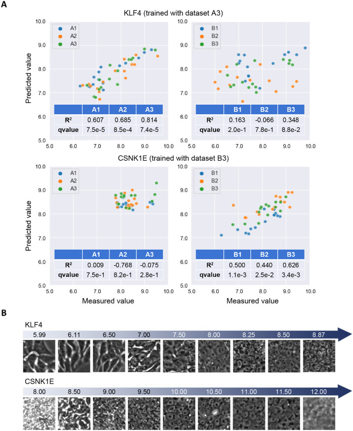 FIGURE 6: