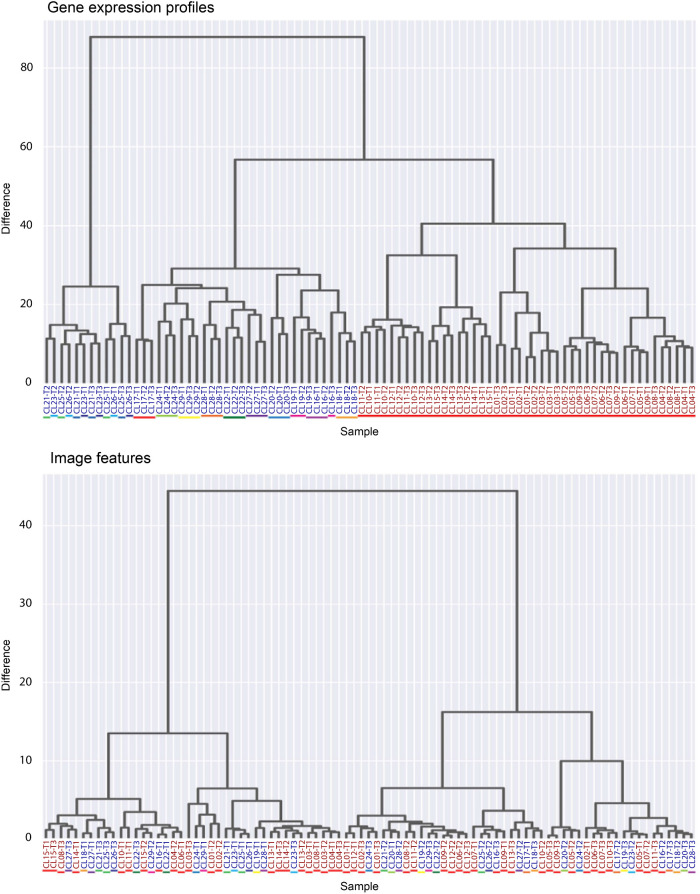 FIGURE 5: