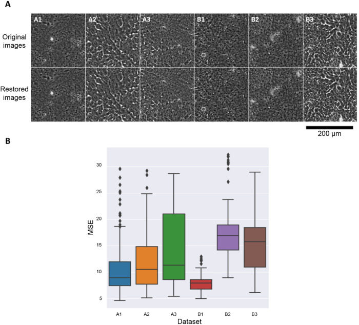 FIGURE 3: