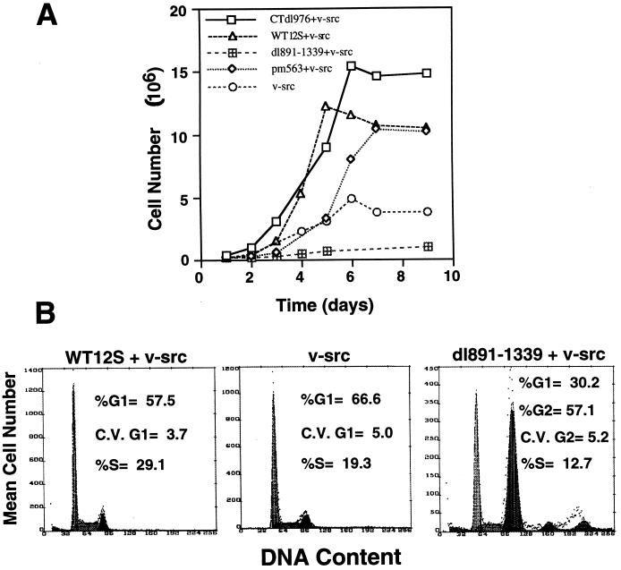 FIG. 5