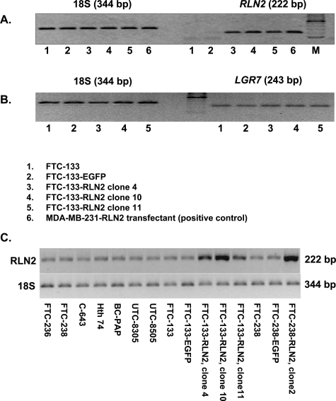 Figure 2-6913