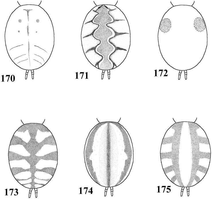 Figures 170–175.