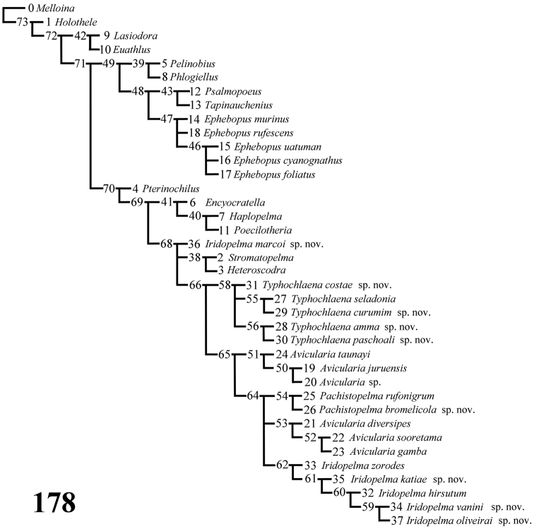 Figure 178.