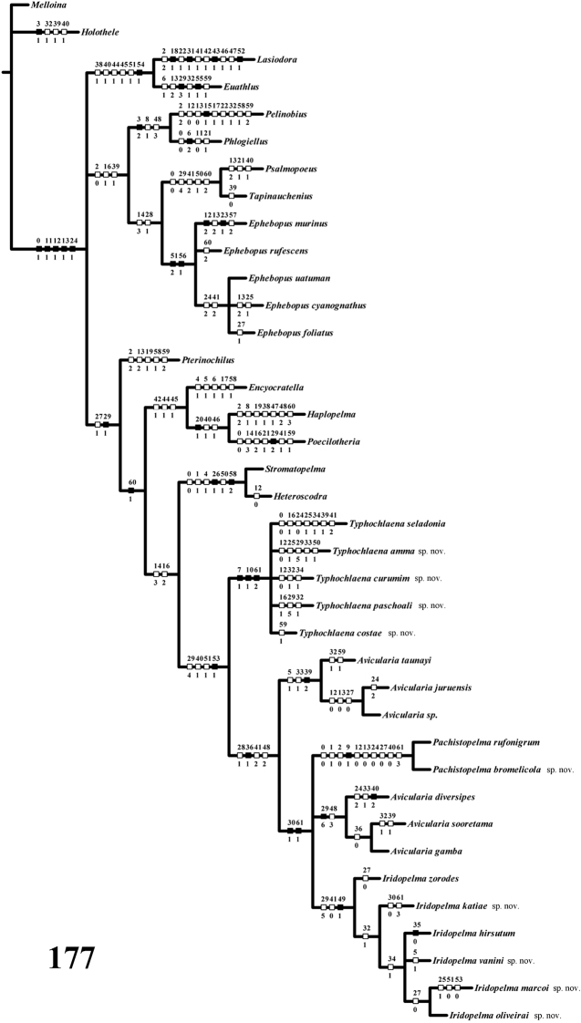 Figure 177.