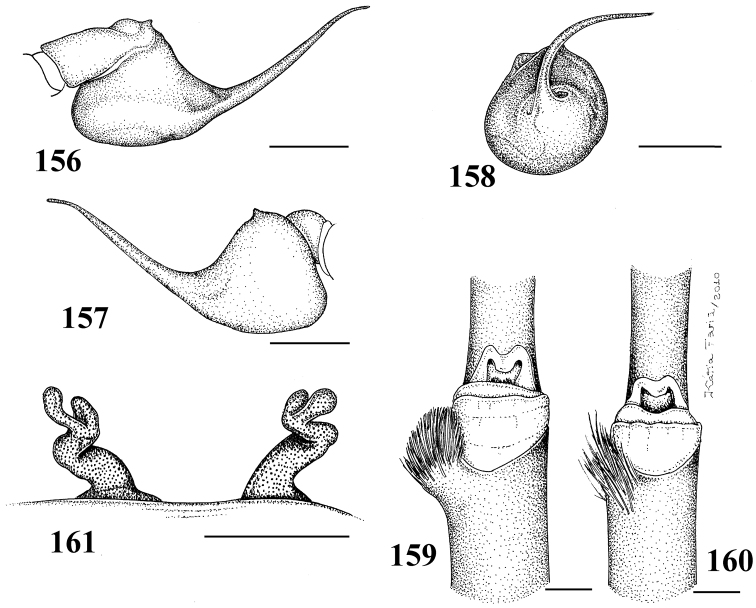 Figures 156–161.