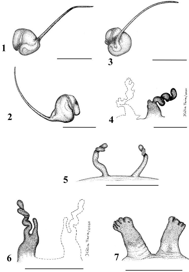 Figures 1–7.