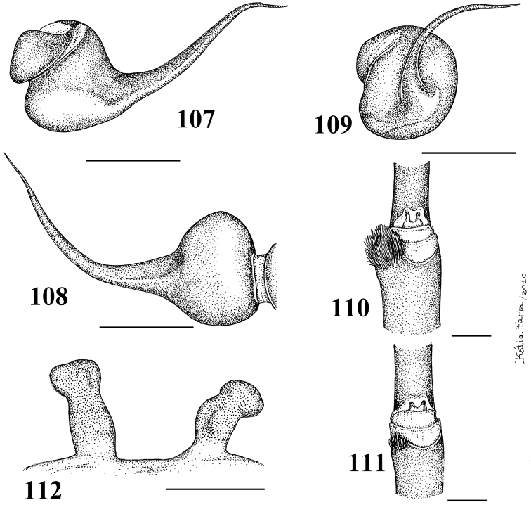 Figures 107–112.