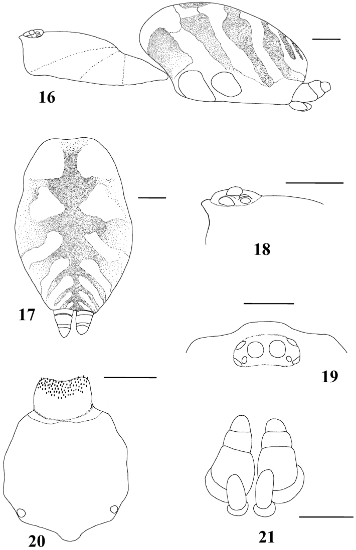 Figures 16–21.