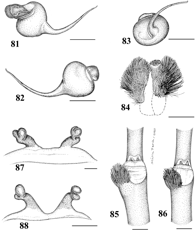 Figures 81–88.