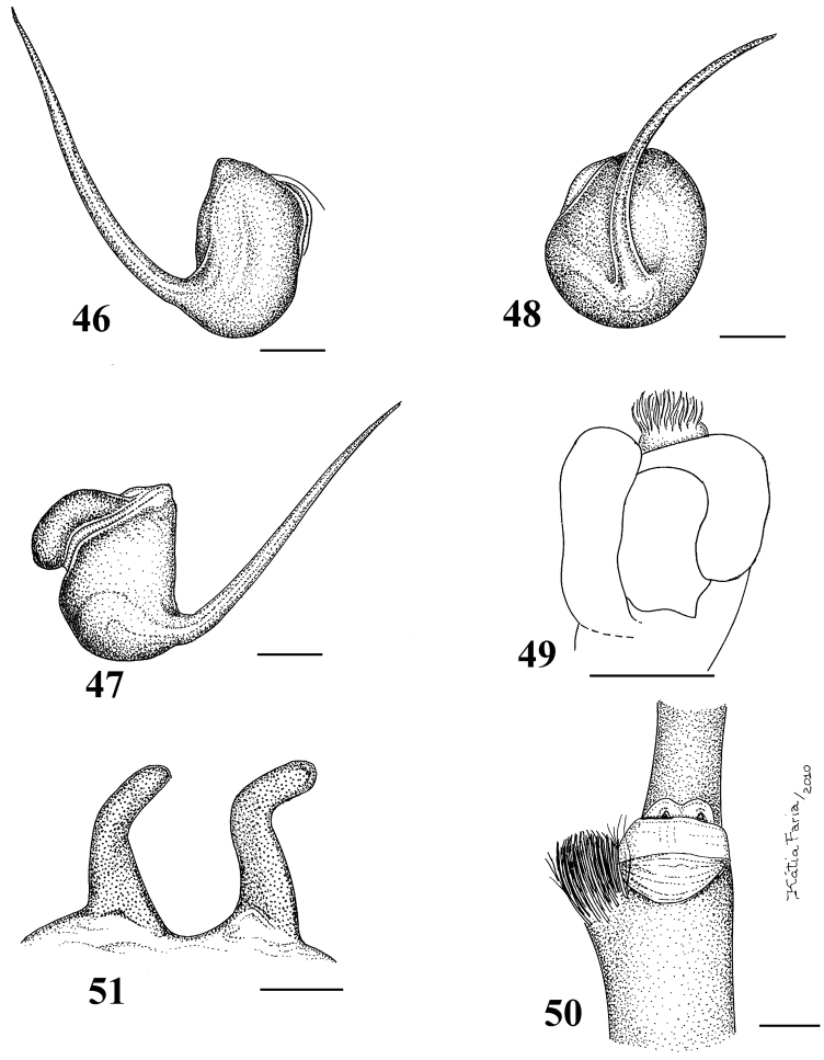 Figures 46–51.