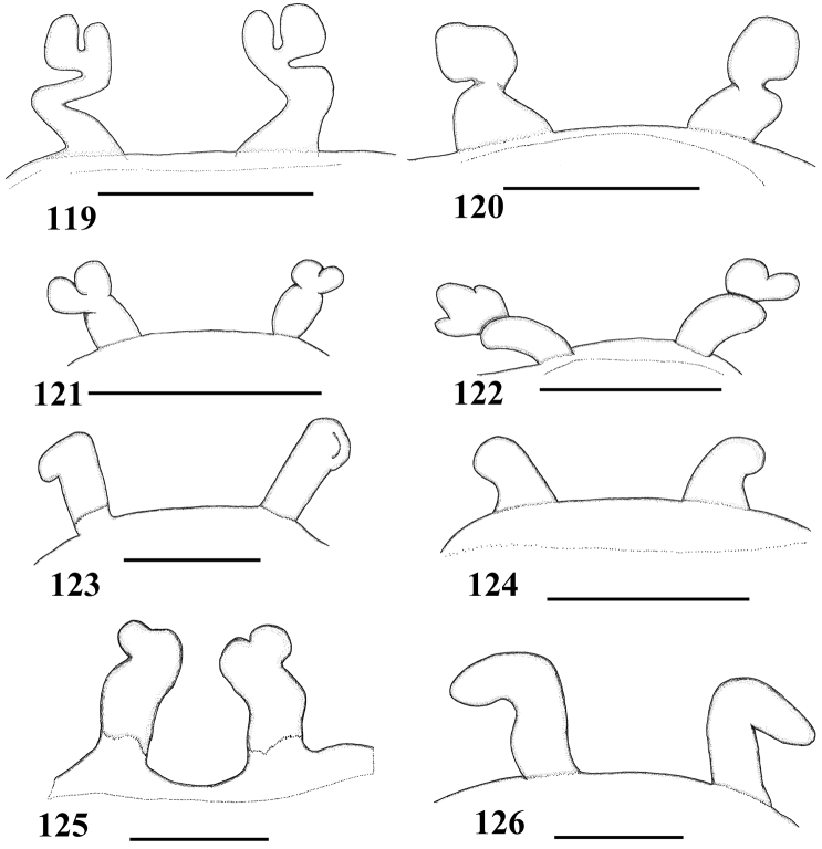 Figures 119–126.