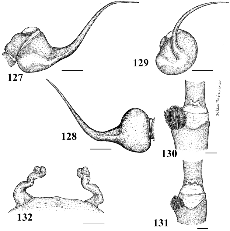 Figures 127–132.