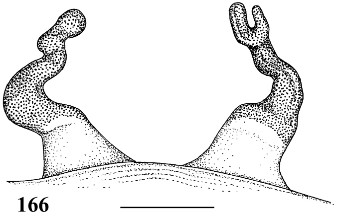 Figure 166.