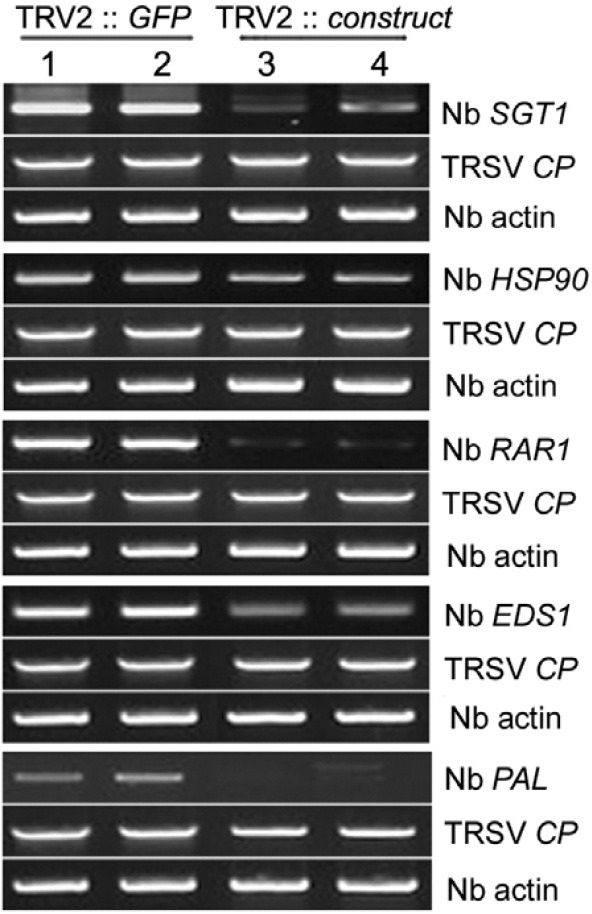 Fig. 7.