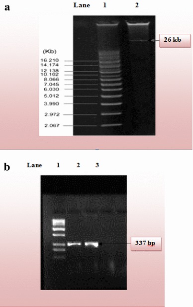 Fig. 5