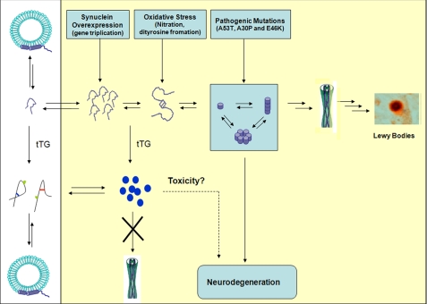 FIGURE 10.