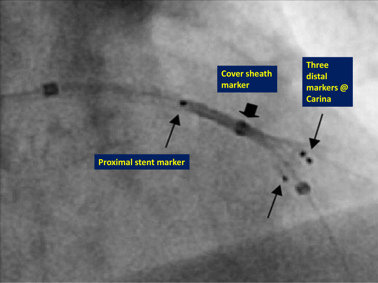 Fig. 8