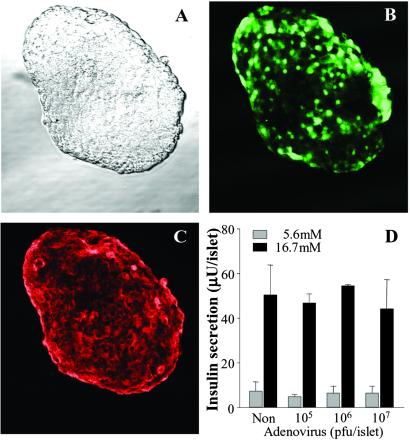 Fig 3.