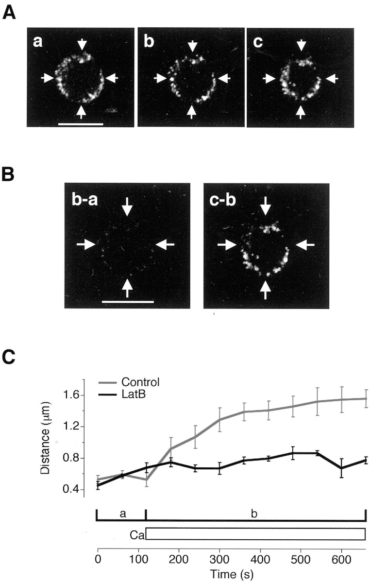 Fig. 10.